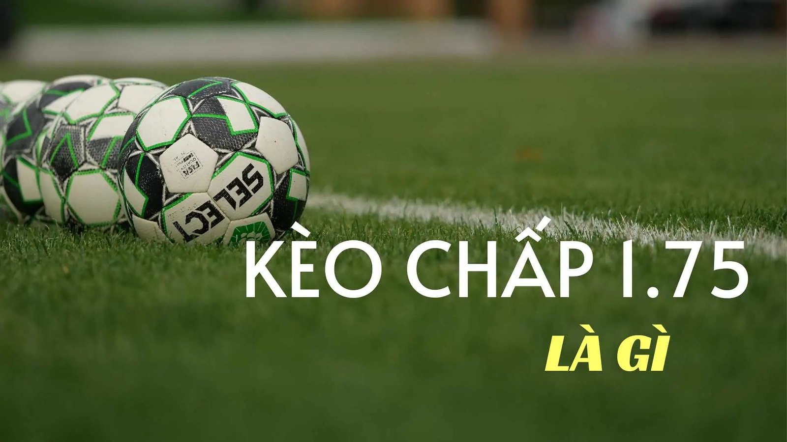 keo chap 175 67f0089629f19
