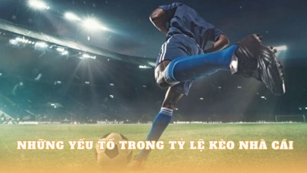 tylekeo 10