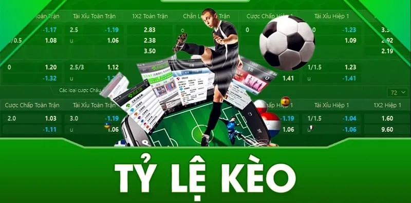 tylekeo 3