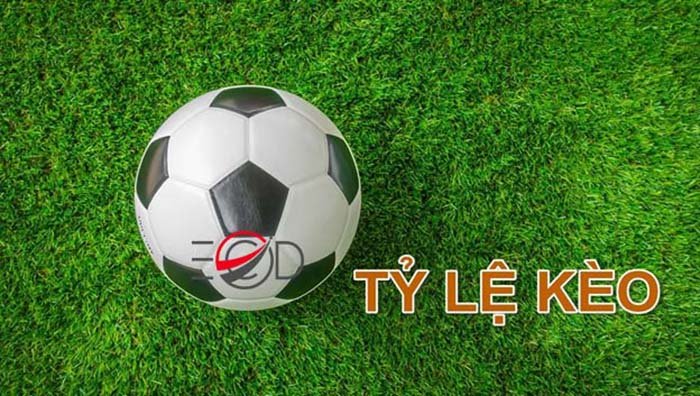 tylekeo 5