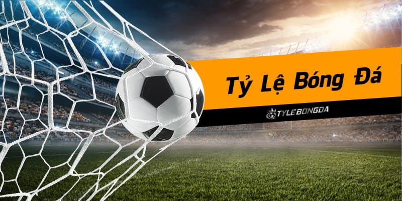 tylekeo 6